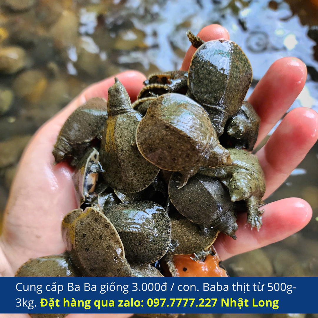 Biện pháp phòng bệnh hiệu quả