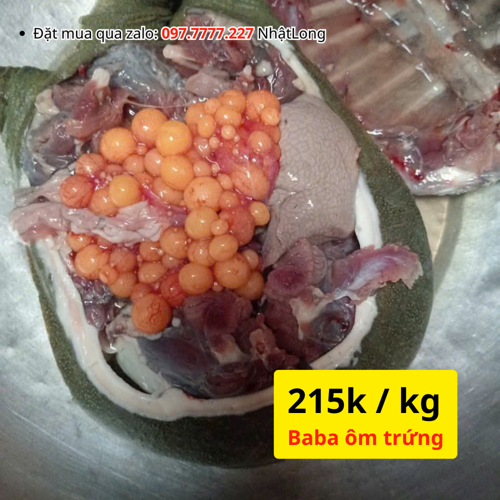 Baba ông trứng chỉ 215.000đ /kg