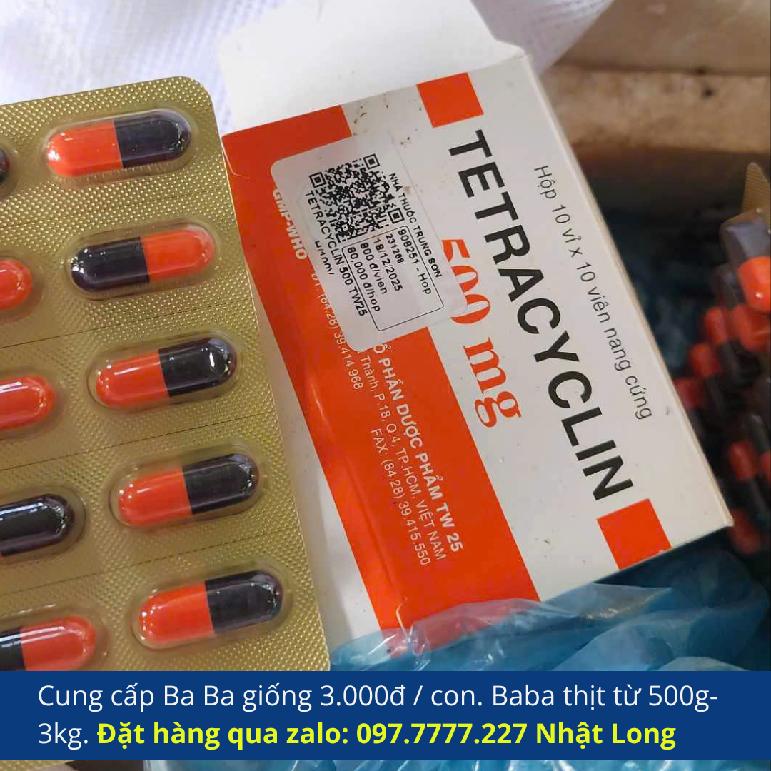 Thuốc Tetracyclin là kháng sinh phổ rộng