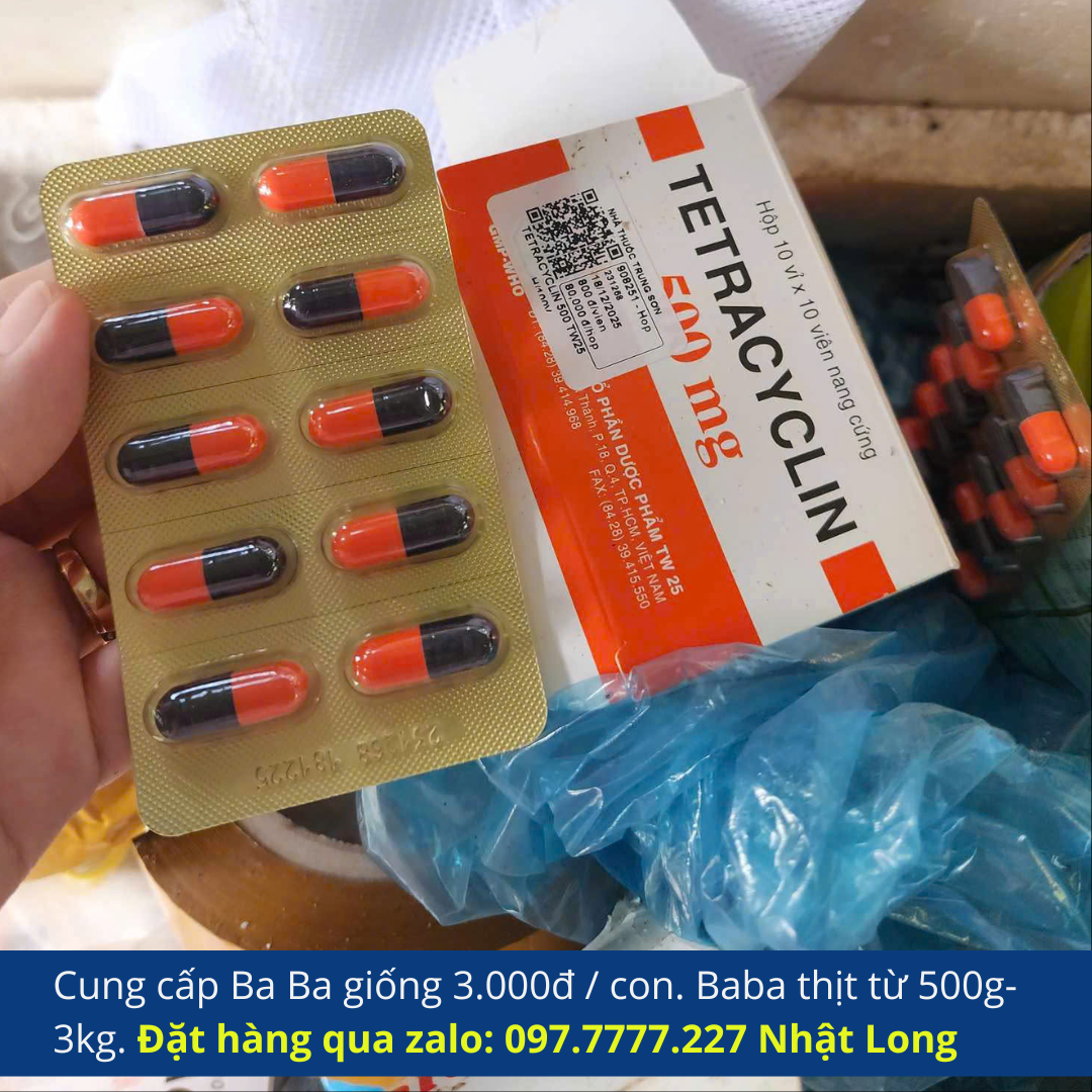 Thuốc Tetracyclin là một loại kháng sinh phổ rộng