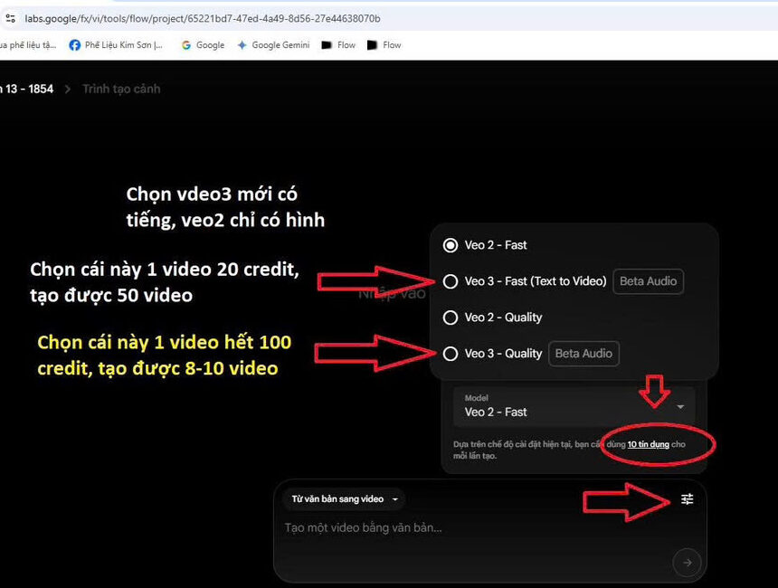 Hướng dẫn sử dụng VEO3