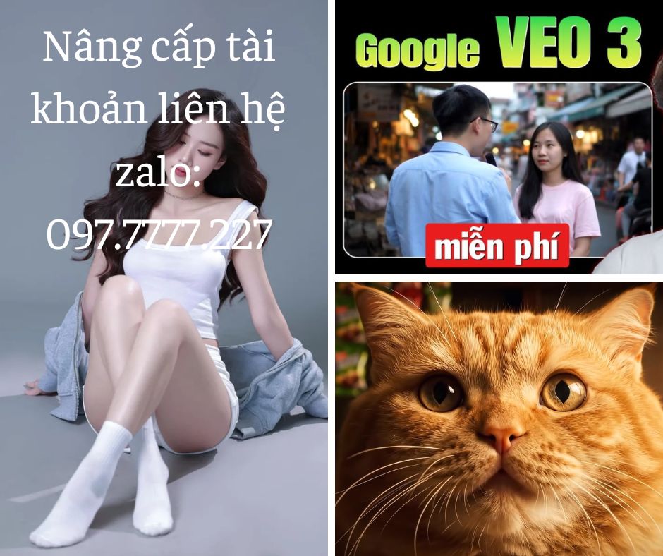 Nếu bạn đang hướng đến việc kiếm tiền từ Video veo3, thì sự ổn định luôn là yếu tố quan trọng nhất.