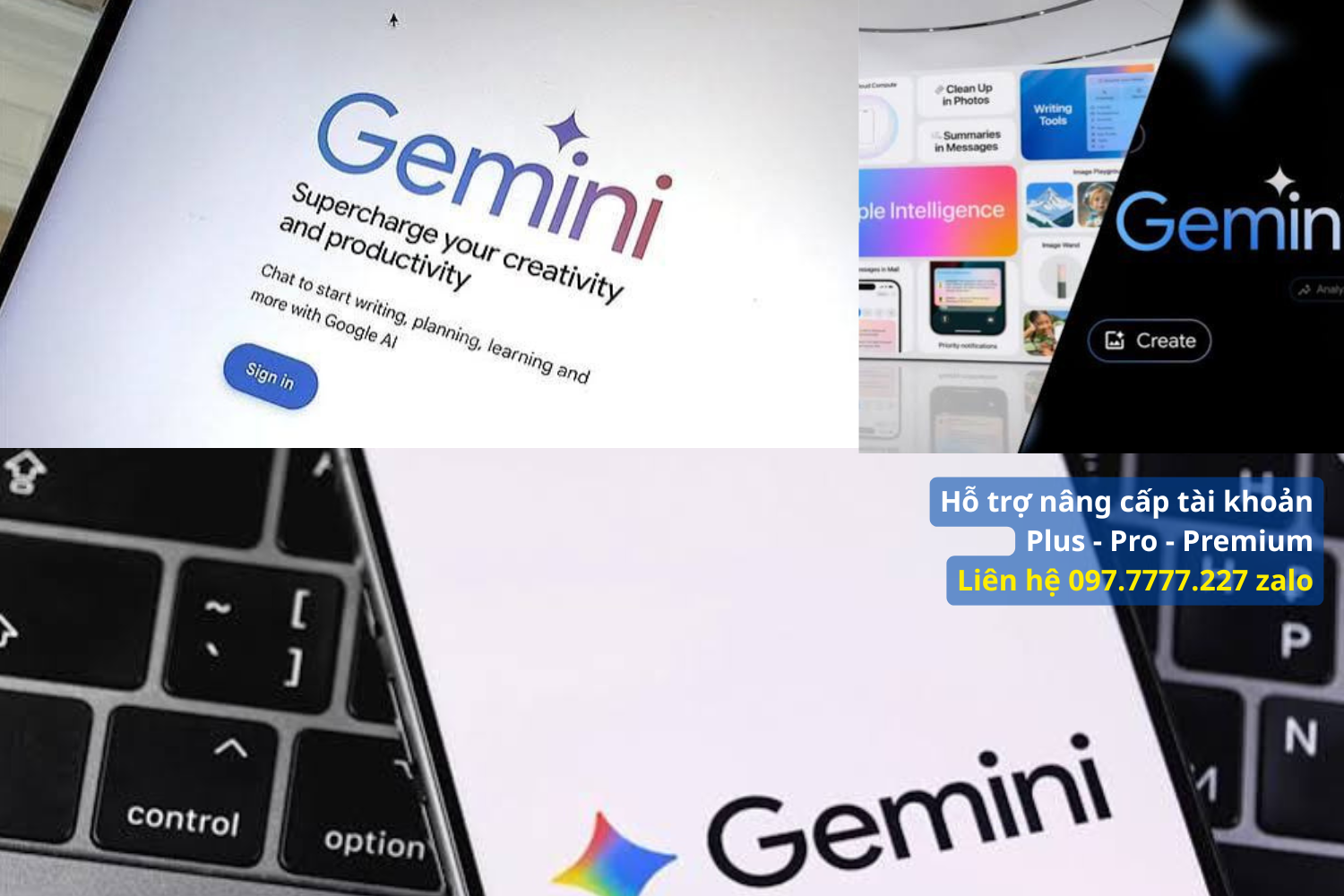 Chia Sẻ Slot Gemini Pro Family - Tiết Kiệm Hay Rủi Ro
