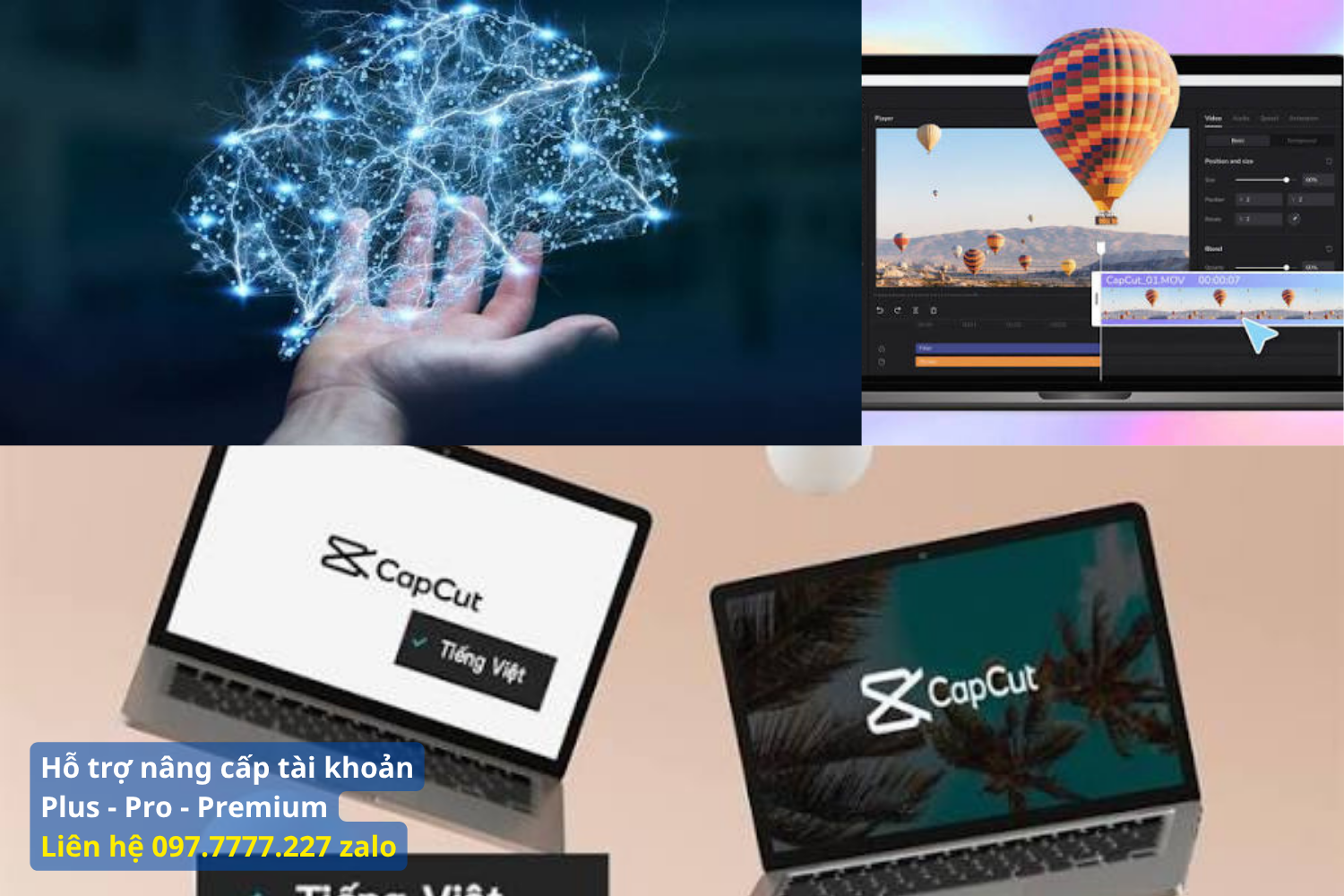 Sức Hút Từ Gói Trải Nghiệm Premium Ngắn Hạn