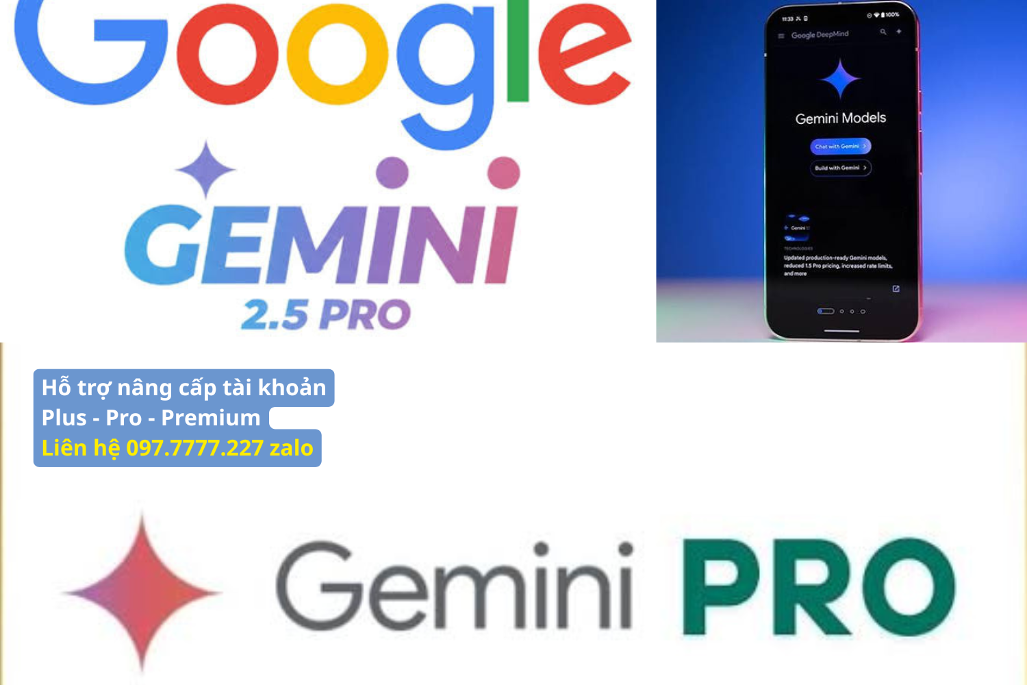 Nhu Cầu Tìm Nhóm Ghép Chung Gemini Pro Family Hiện Nay