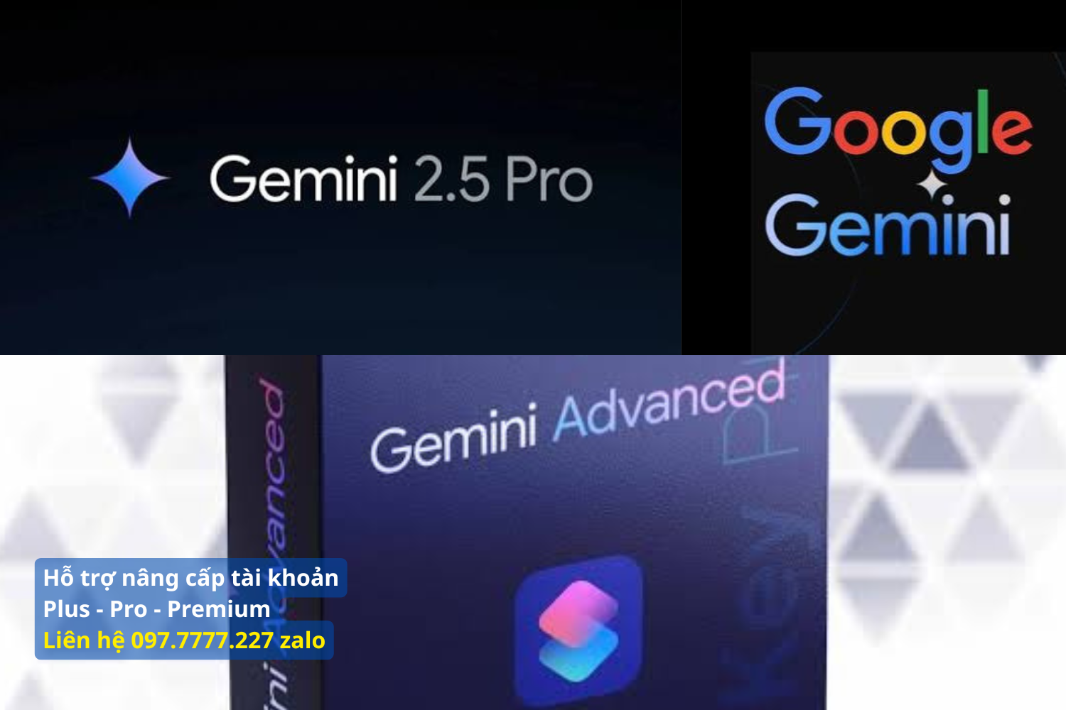 Các Hình Thức Sở Hữu Gemini Pro Phổ Biến Trên Thị Trường