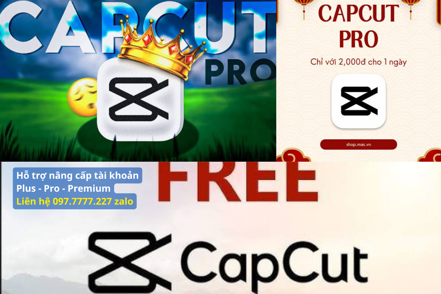 So Sánh Tính Năng Giữa Bản Free Và Bản Pro