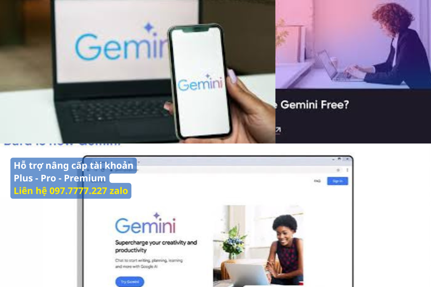 Gemini Pro Family Là Gì và Hoạt Động Như Thế Nào?