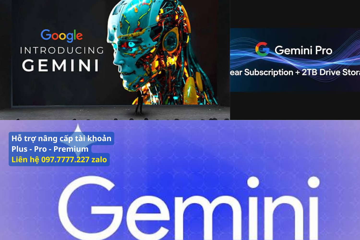 Nhu Cầu Tìm Kiem Các Gói Gemini Pro Giá Rẻ Hiện Nay 🎯