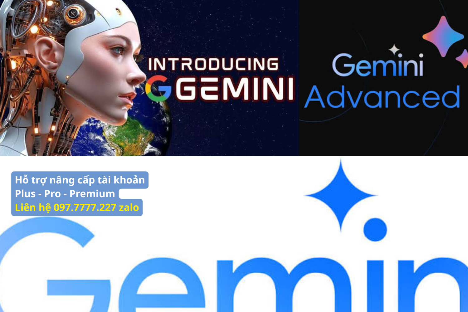 Quy Trình 4 Bước Khắc Phục Lỗi IP Khi Chia Sẻ Gemini Pro Family