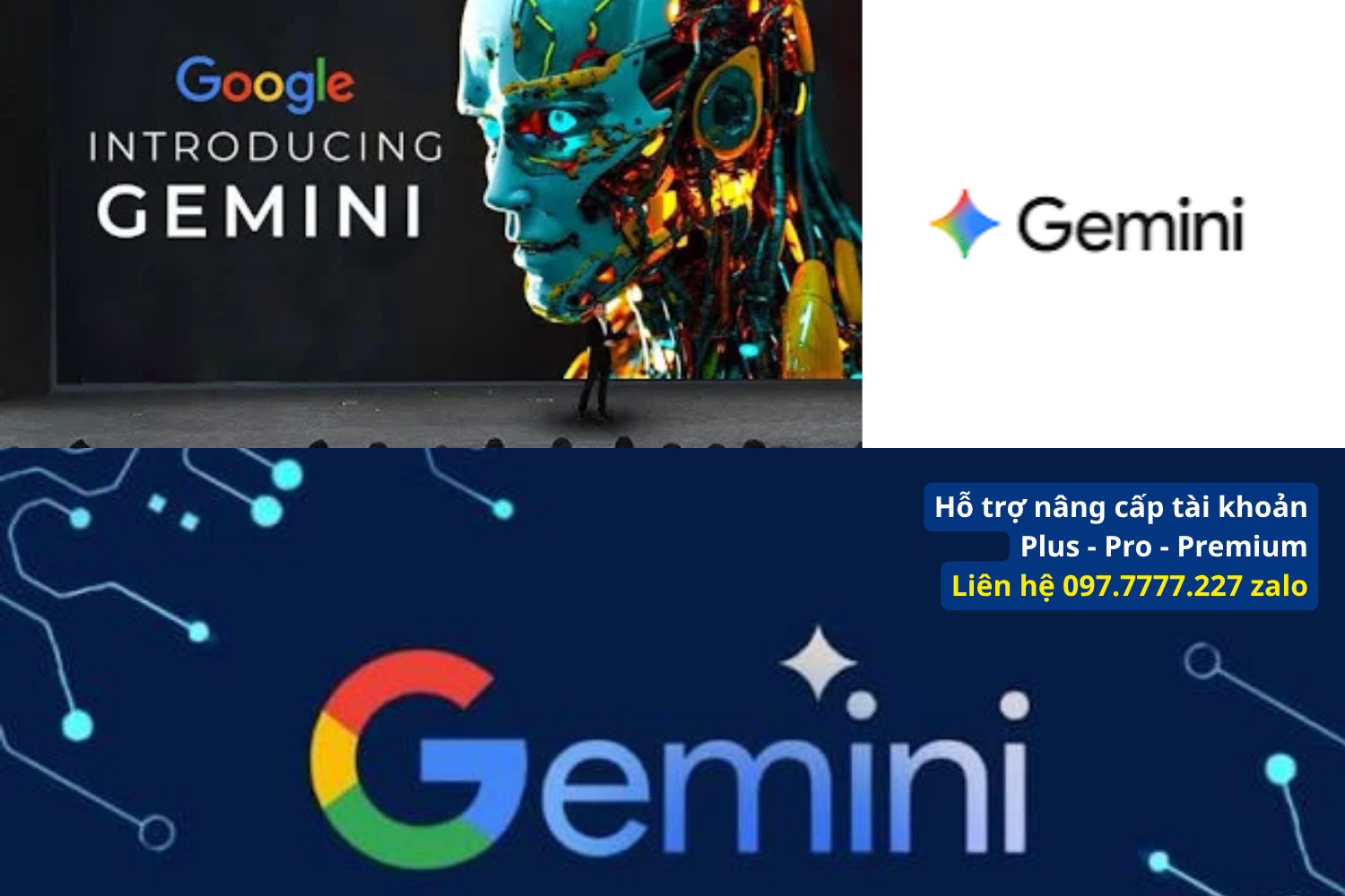 Hướng dẫn kiểm tra số dư gemini pro 1000 credit trong API cực dễ