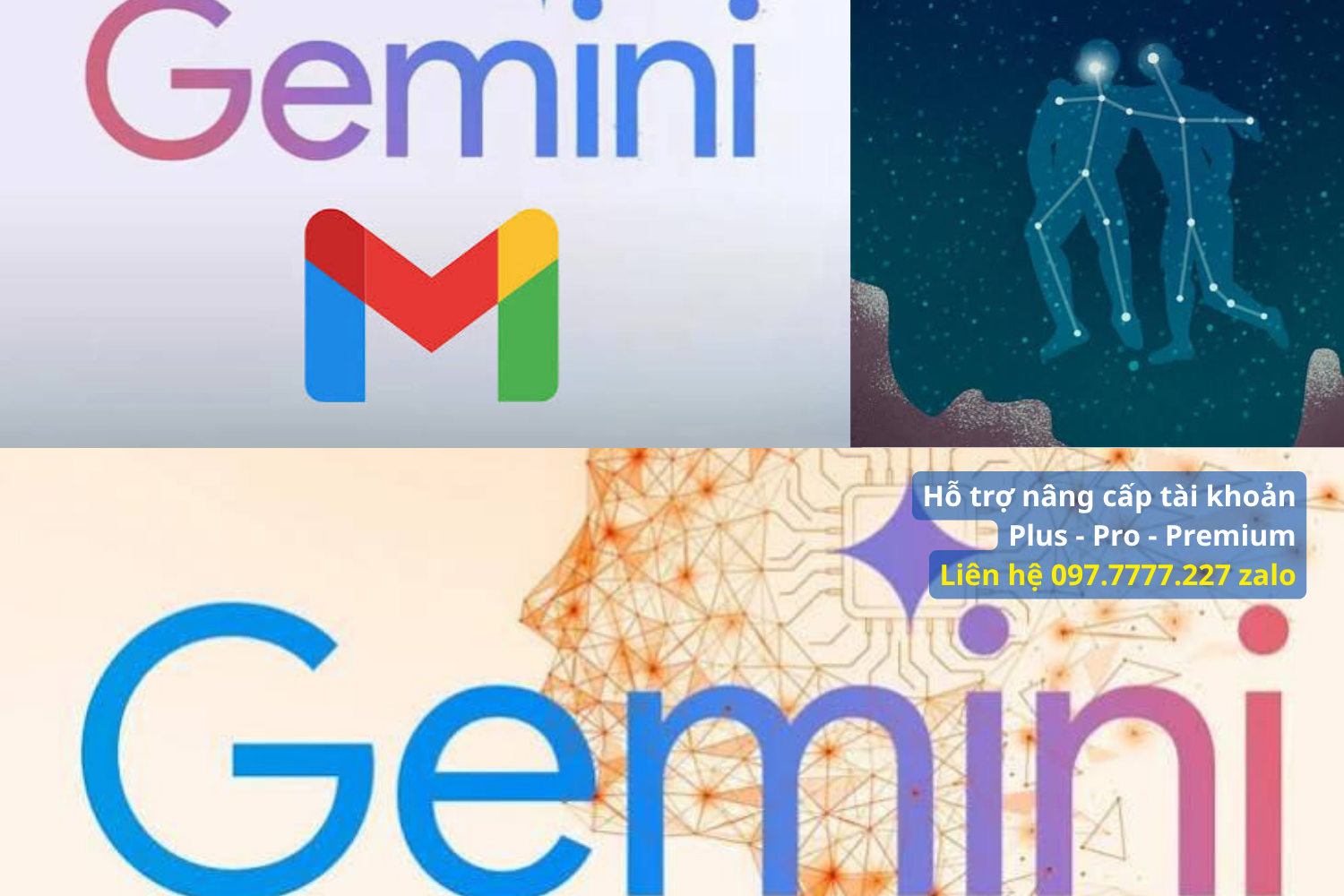 Gemini pro family là gì? Hướng dẫn mua chung kinh tế nhất